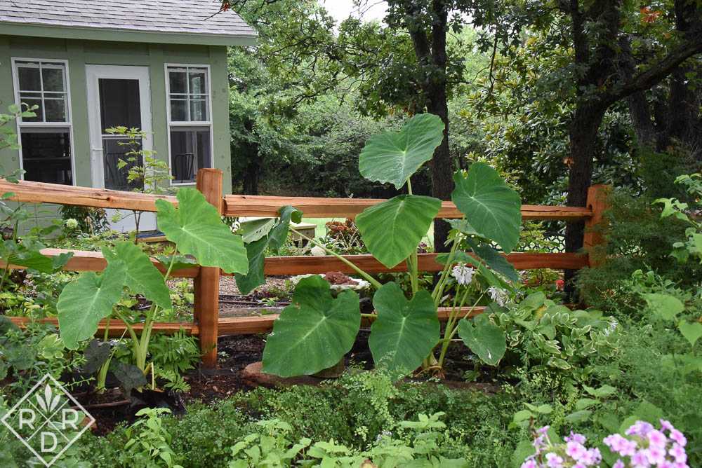 Exterior of the Premier Pro Tall Ranch Gardening Shed Surrounded by Gardens 02