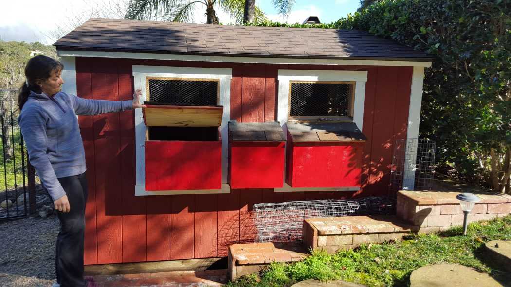 Exterior of the Garden Ranch Chicken Coop