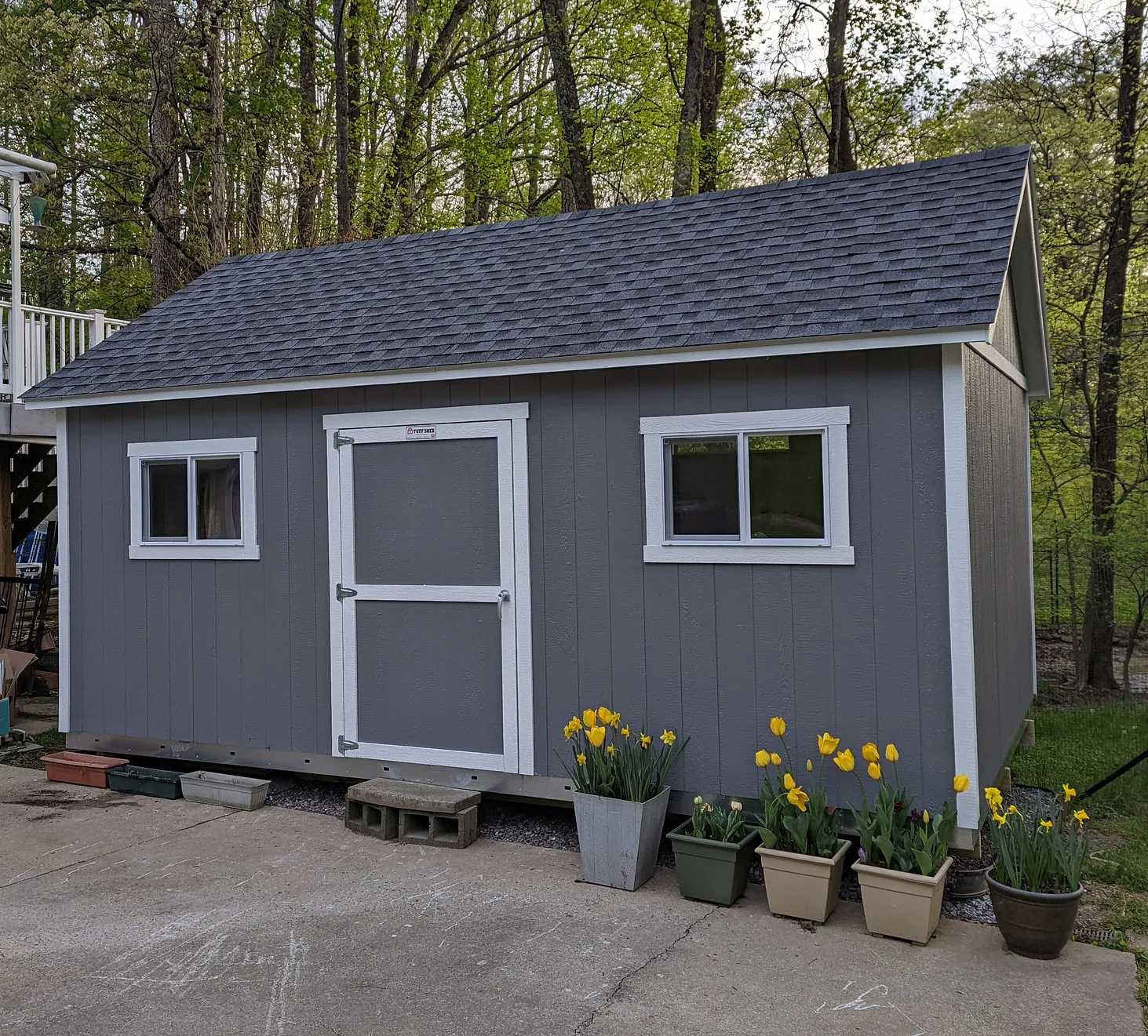 Gray shed with white trim in a wooded area, flanked by blooming yellow tulips in pots on a paved surface.