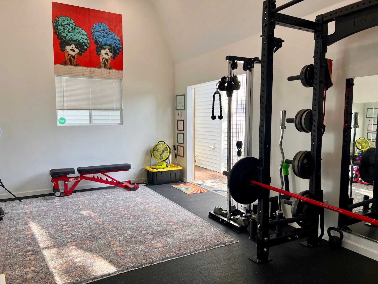 Premier Pro Tall Barn home gym interior weights