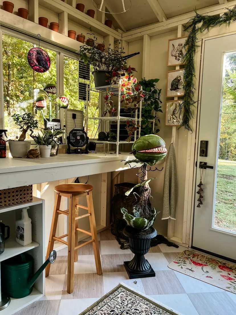 Interior of Premier Pro Tall Ranch garden shed decorated for Halloween