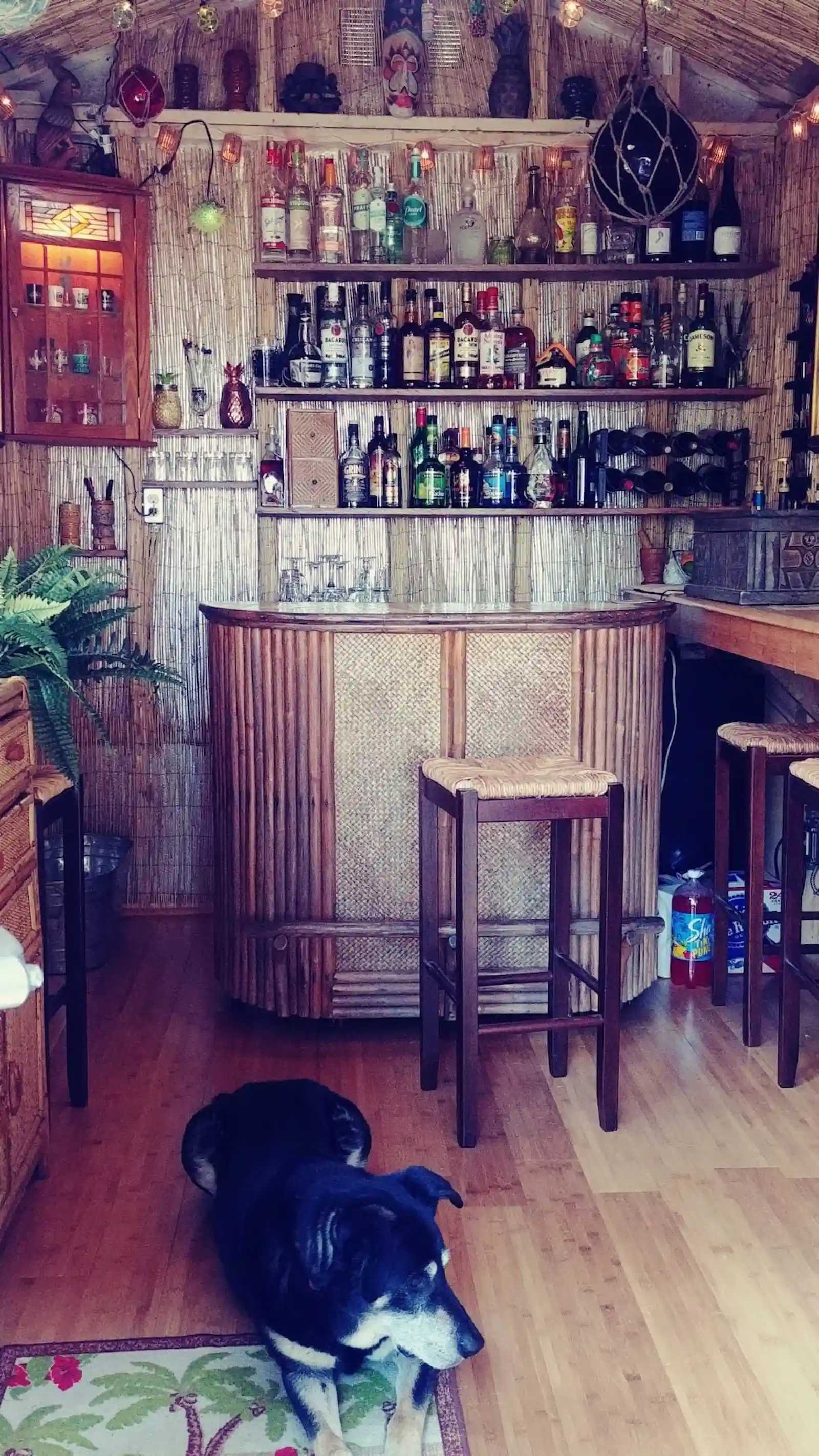 Premier pro tall ranch tiki bar interior