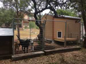 Exterior of the Premier Ranch Dog Shed Back View