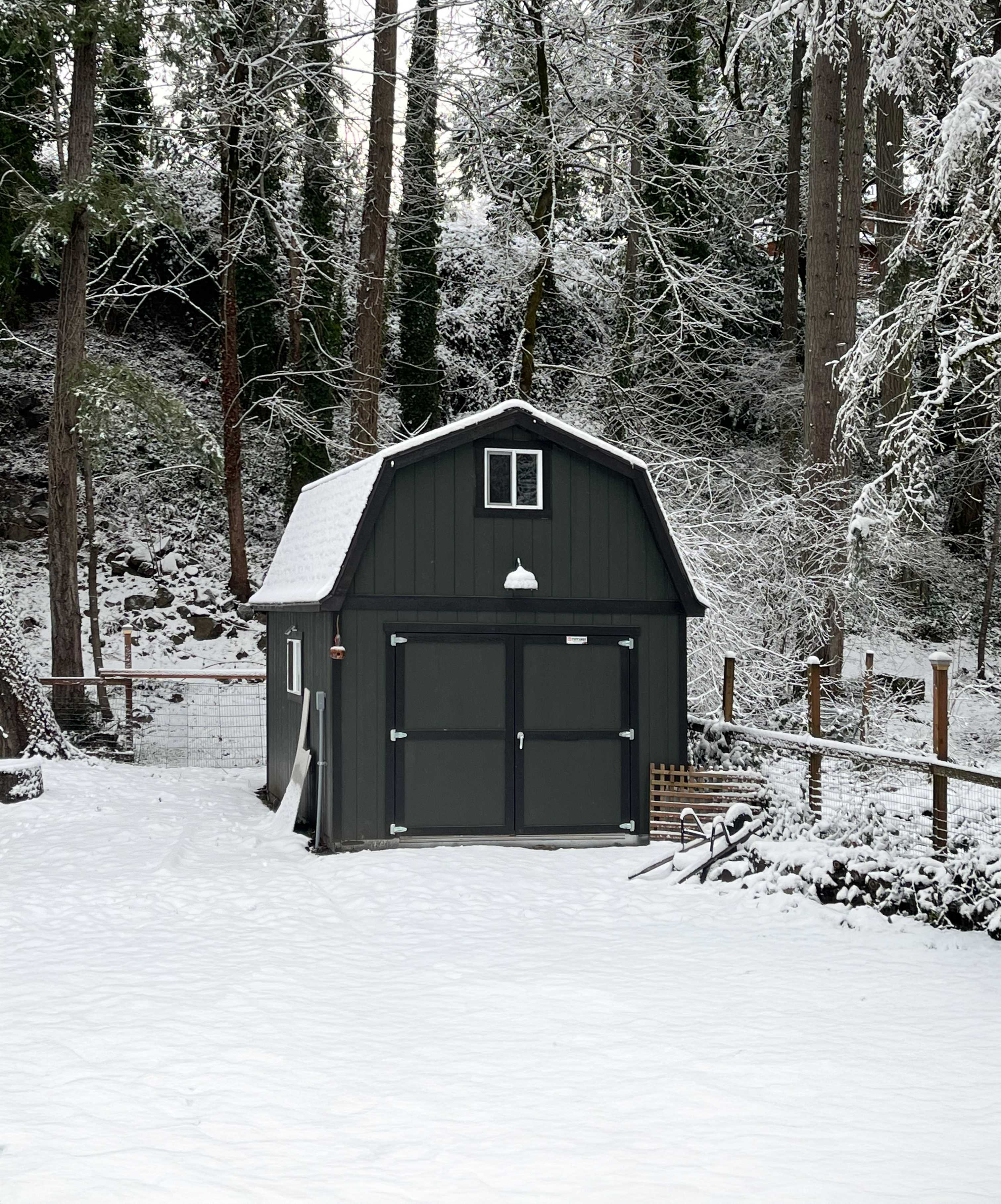A Premier pro tall barn tuff shed covered in snow in a backyard protecting tools from weathering.