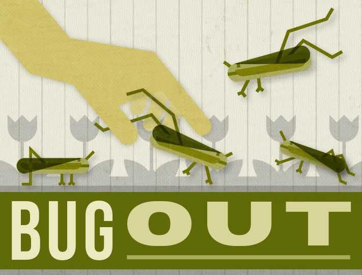 Don't Bug Out Header Photo