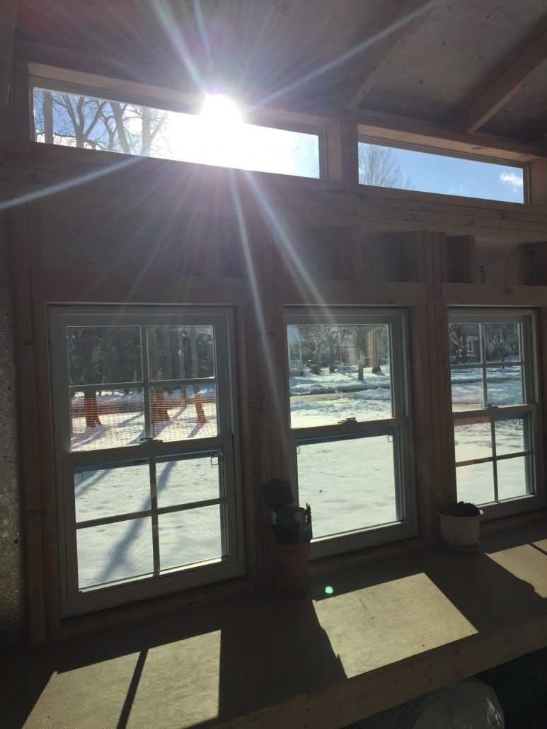 Interior of the Premier Pro Tall Ranch Gardening Shed Windows 01